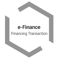 e-Finance